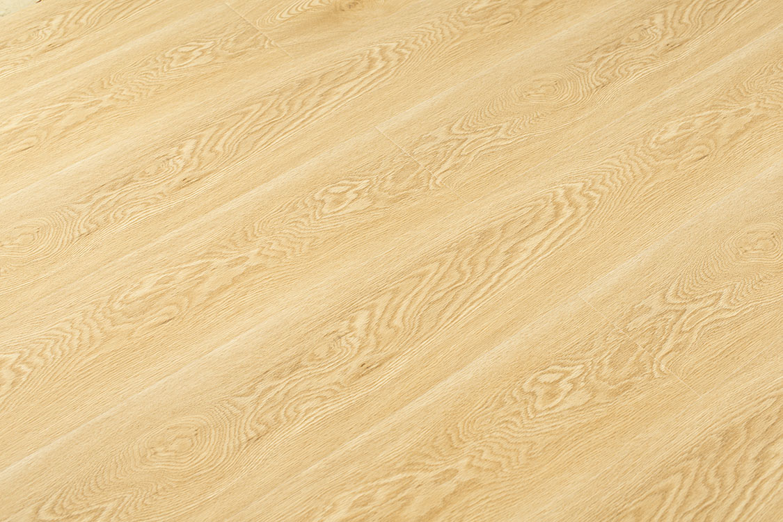 E0806